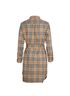 Burberry Giovanna Shirt Check Dress, back view