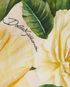 Dolce & Gabbana Off The Shoulder Floral Print Mini Dress, other view