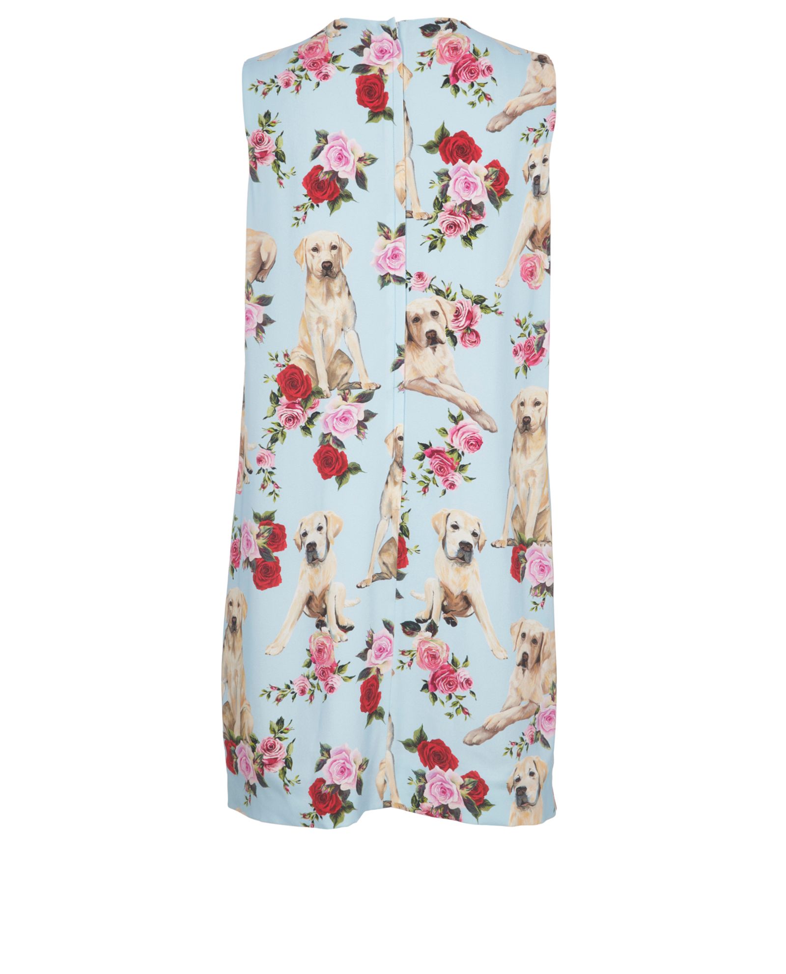 Labrador dress clearance dolce and gabbana