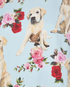 Dolce & Gabbana Labrador Print Dress, other view