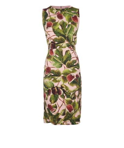 Dolce & Gabbana Fig Print Dress, front view