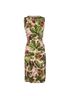 Dolce & Gabbana Fig Print Dress, front view