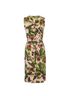 Dolce & Gabbana Fig Print Dress, back view