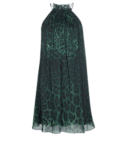 Dolce & Gabbana Leopard Print Mini Dress, front view