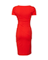 Diane Von Furstenberg Pencil Dress, back view