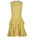 Alexander McQueen Ruffle Dress, front view