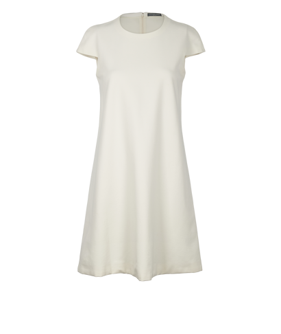 Alexander McQueen Mid-Thigh Dress, front view
