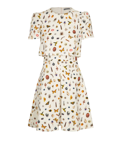 Alexander McQueen Printed Dress, front view