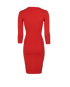 Alexander McQueen Midi Dress, back view