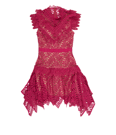 Self- Portrait Lace Mini Dress, front view