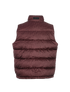 Christian Dior Oblique Puffer Gilet, back view