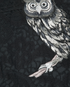 Dolce & Gabbana Owl Bomber Jacket, other view