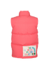 Gucci x The North Face Gilet, back view