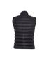 Moncler Gilet, back view
