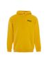 Balenciaga Political Campaign Hoodie, front view
