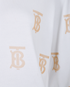 Burberry Logo Hoodie, other view