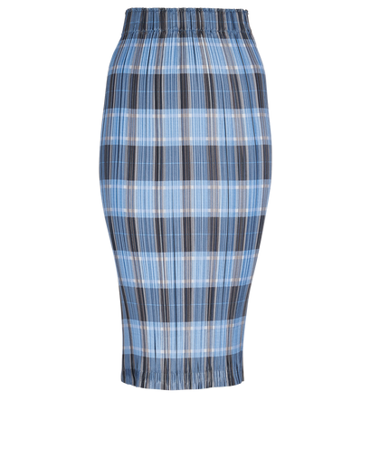 Burberry Pleated Check Skirt, front view