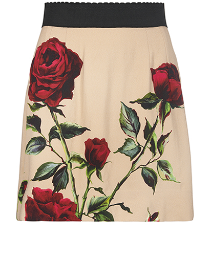 Dolce & Gabbana Rose Printed Mini Skirt, front view