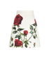 Dolce Gabbana Rose Print Skirt, front view