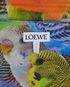 Loewe Parrot Graphic Mesh Midi Skirt, other view