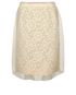 Louis Vuitton Organza Lace Skirt, front view