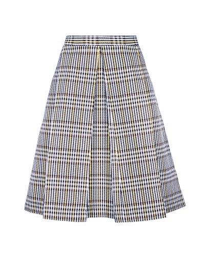 Marni Midi Skirt, front view