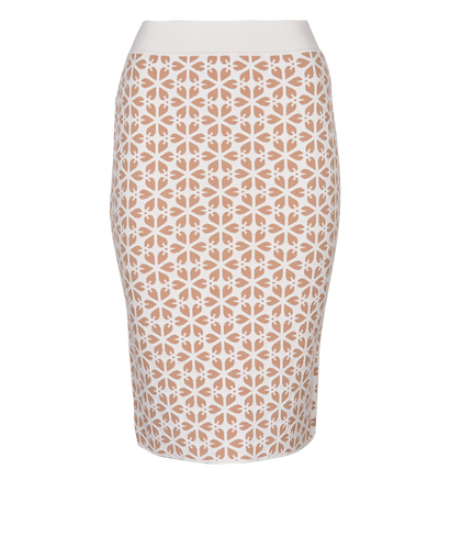 Alexander McQueen Geometric Skirt, front view