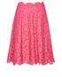 Valentino Overlay Lace Skirt, front view