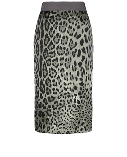 Dolce and Gabbana Pencil Skirt, front view