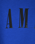 Amiri Core Logo T-Shirt, other view
