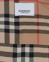 Burberry Nova Check Shirt, other view