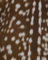 Burberry Bambi Print Shirt, other view