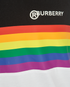 Burberry Rainbow Vest, other view