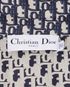Christian Dior Short Sleeve Oblique Shirt, other view