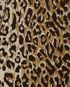 Dolce & Gabanna Leopard Long Sleeve Top, other view