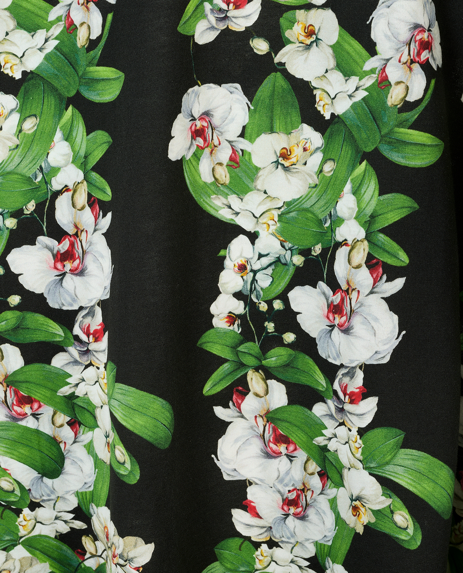Dolce & Gabbana Floral Print T-Shirt, &pound;90, Clothing, Black/Green/White, Cotton, Other view