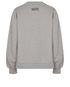 Ganni Isoli Puff Sleeve Sweatshirt, back view