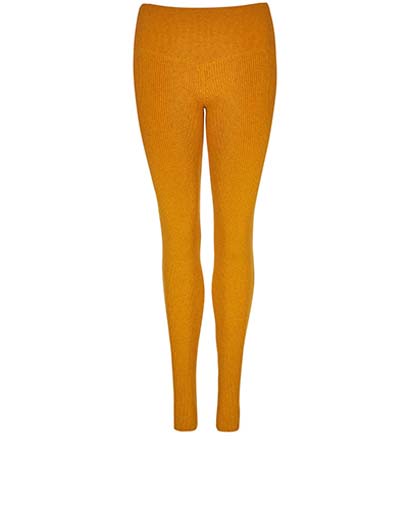 Hermes Mustard Leggings, front view