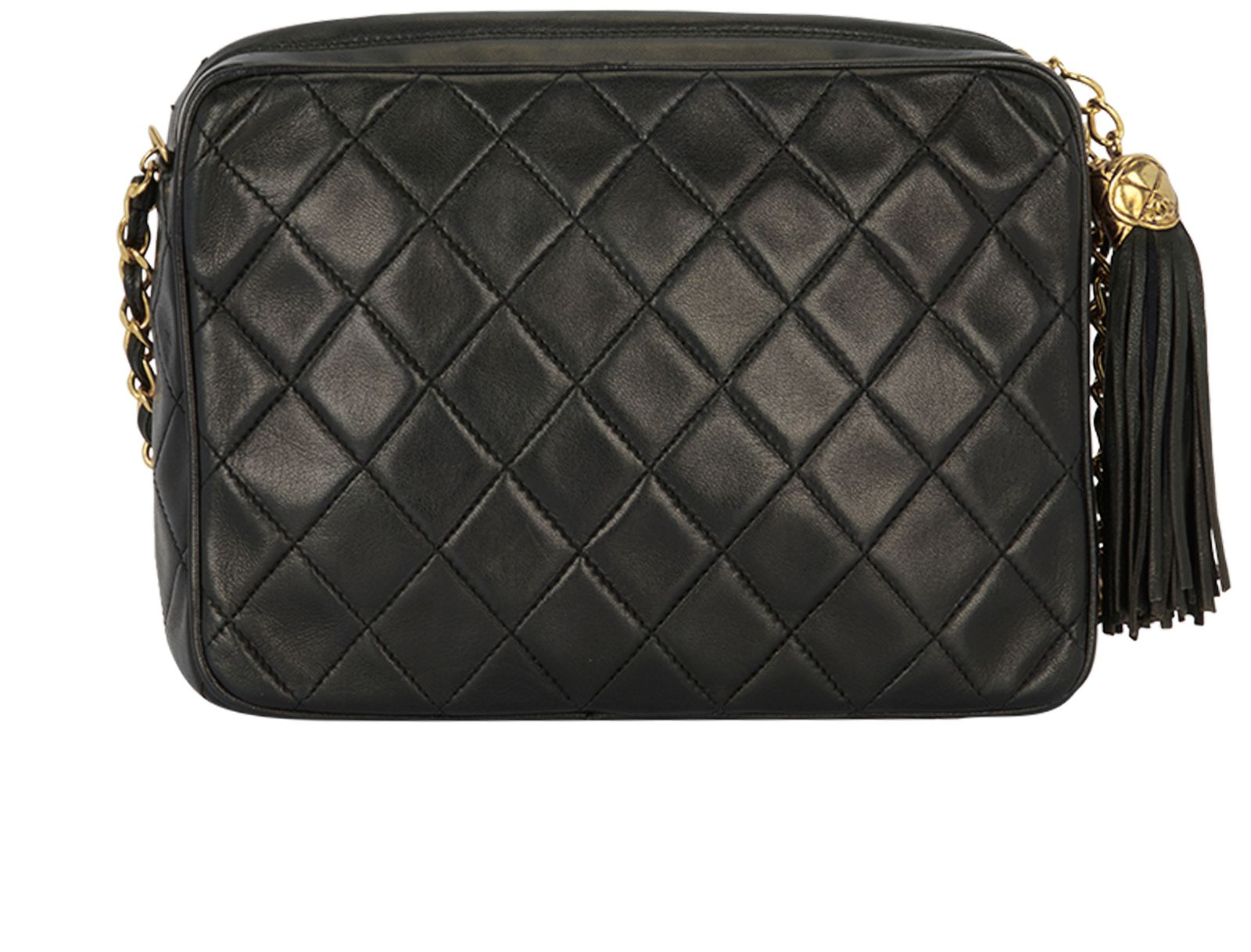 Chanel Button Up Double Zip Camera Bag (SHG-9ts5t9) – LuxeDH