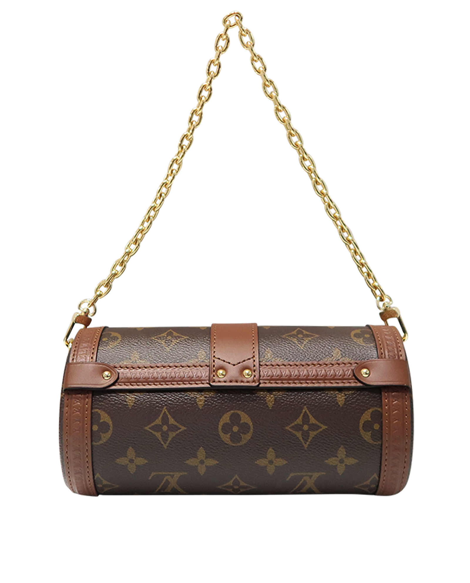 Am deciding on my first ever LV bag. Would the papillon trunk in