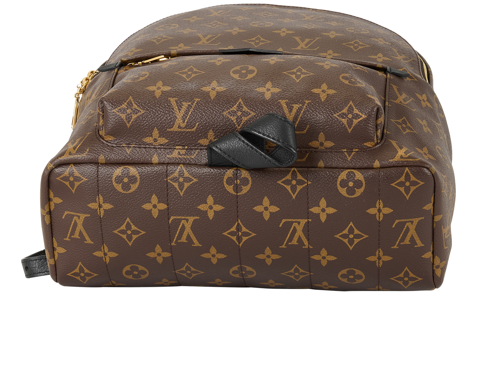 Outfit Louis Vuitton Rucksack Womens Palm Springs MM Backpack