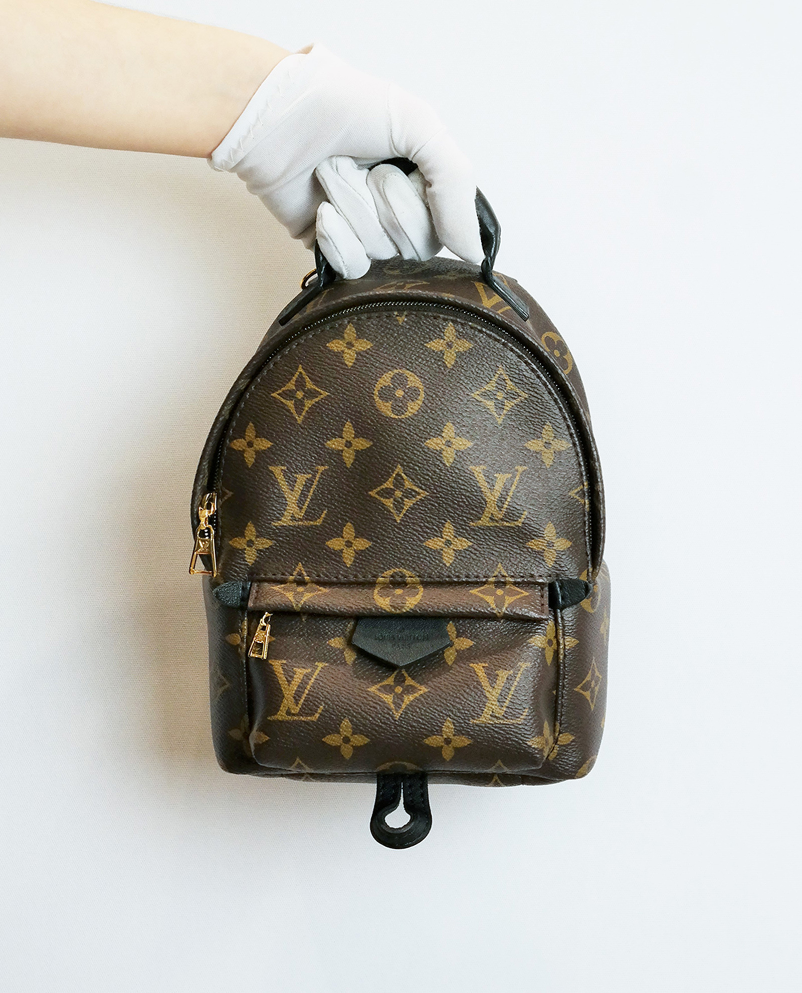 Palm Springs Backpack, Louis Vuitton Designer Exchange Buy