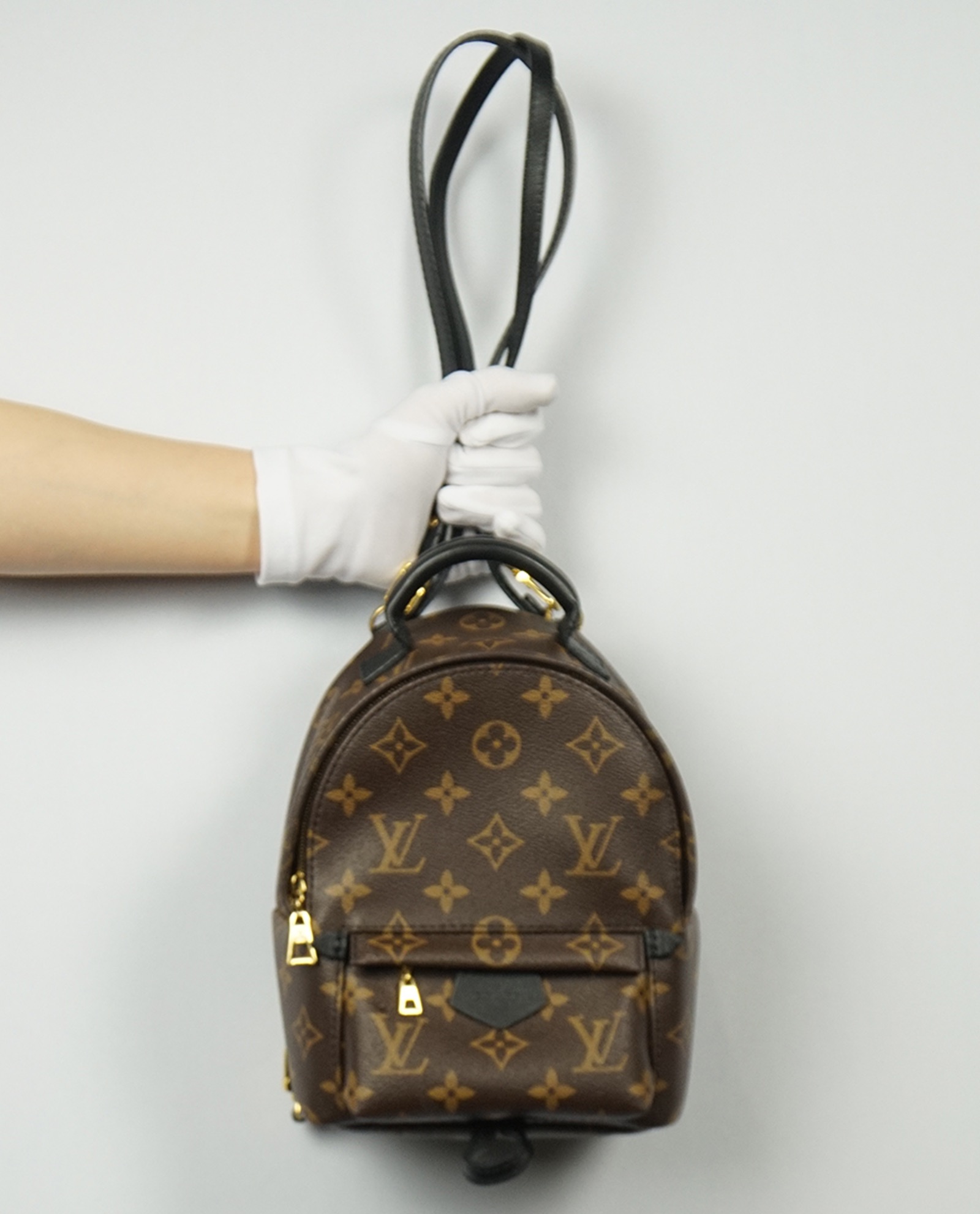 Louis Vuitton 2017 pre-owned Palm Springs Mini backpack - Louis Vuitton  Louis Vuitton Frontrow - RvceShops's Closet