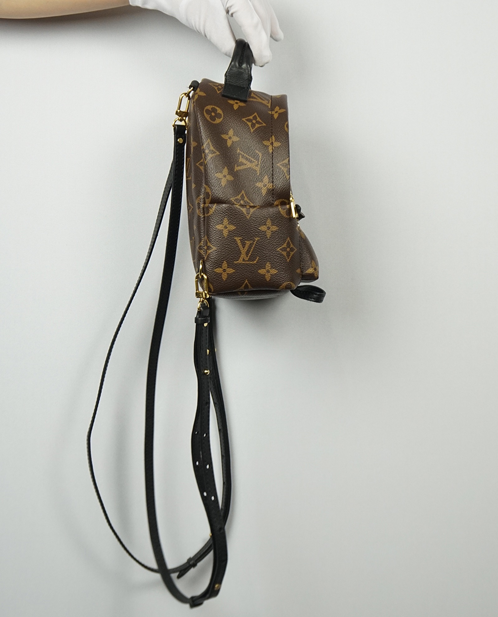 Louis Vuitton Monogram Canvas Palm Springs Mini Backpack - FINAL SALE –  LuxeDH