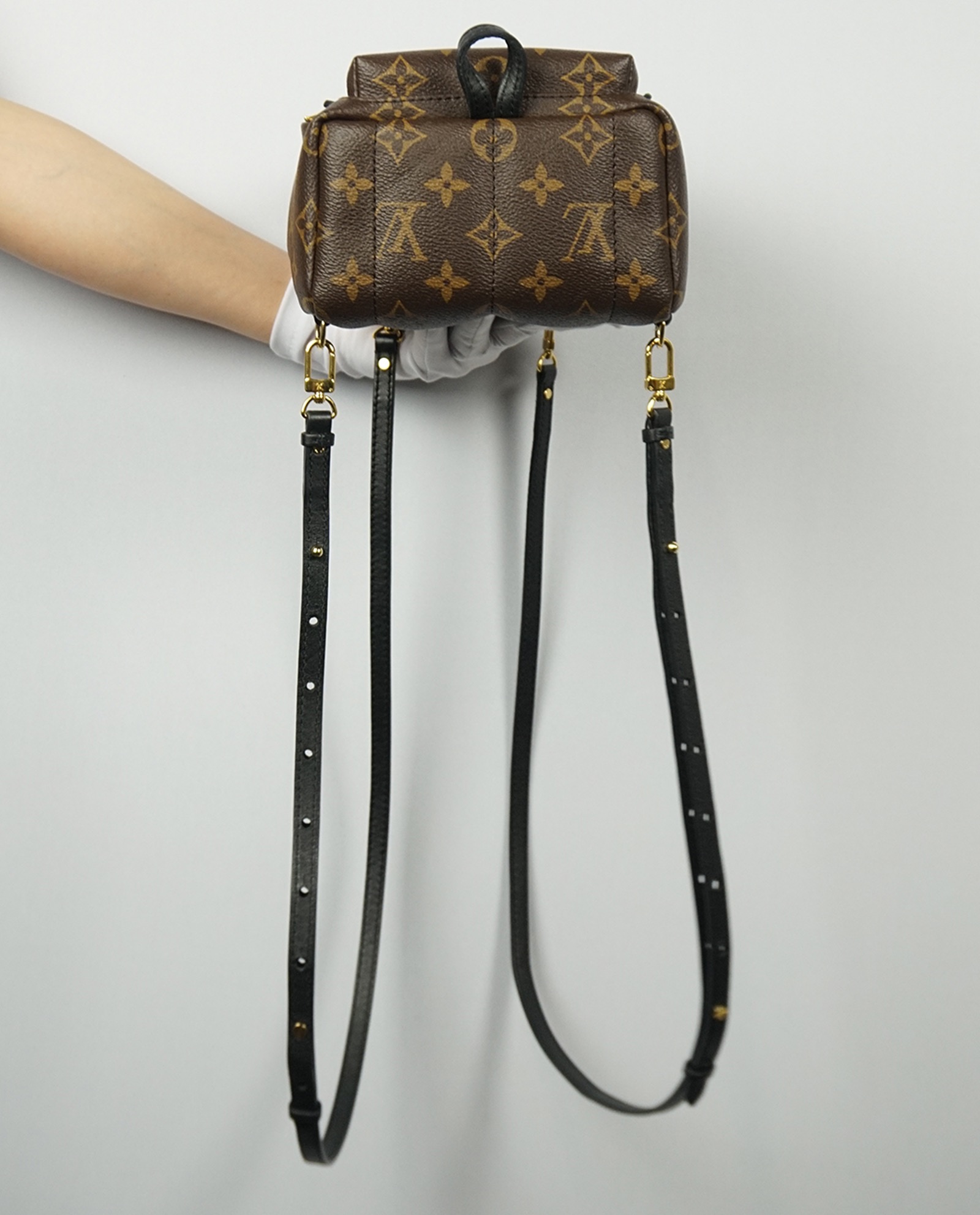 Louis Vuitton Monogram Canvas Palm Springs Mini Backpack - FINAL SALE –  LuxeDH