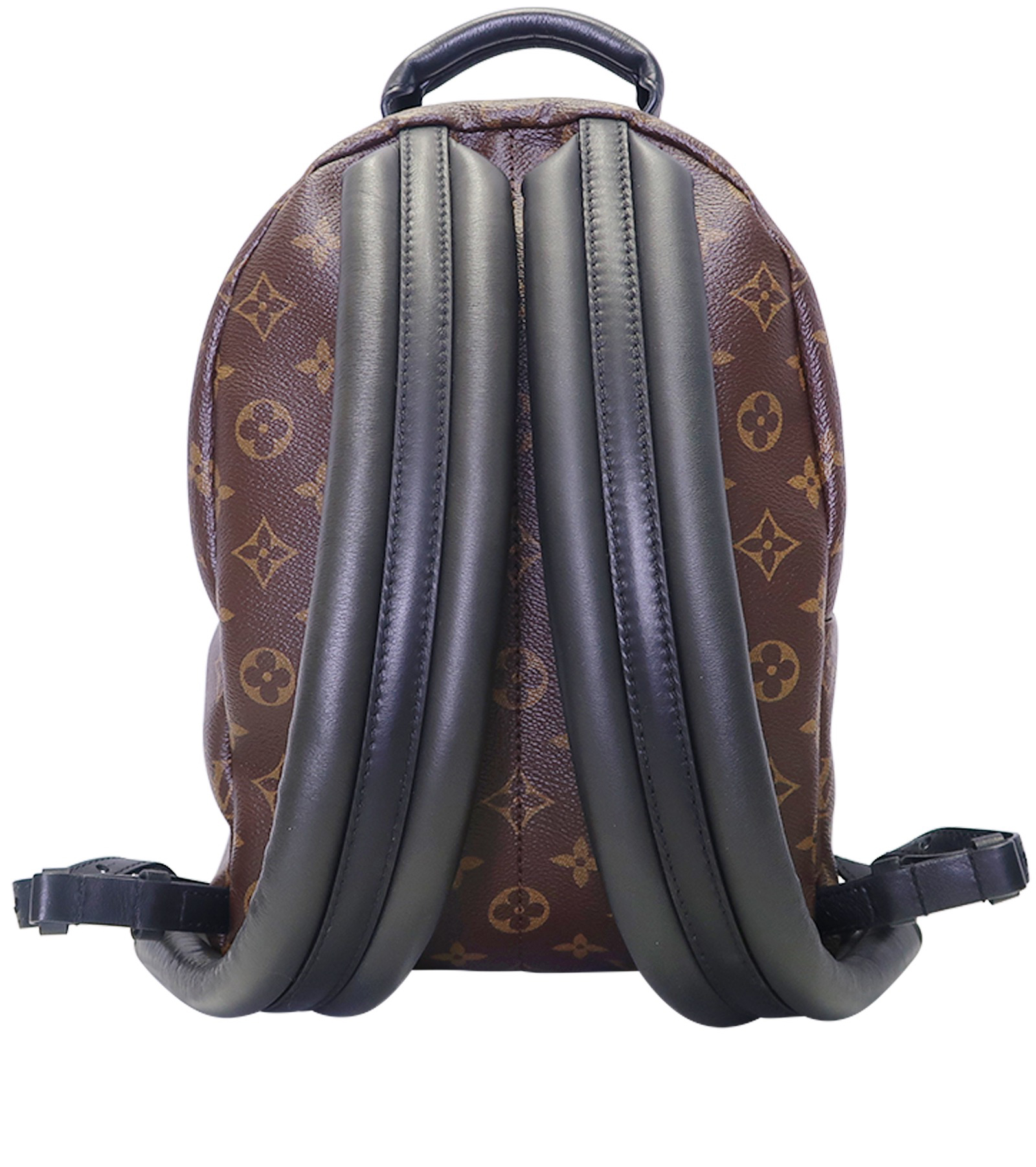 Palm Springs PM Backpack, Louis Vuitton - Designer Exchange