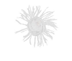 Chanel Large Feather Camellia Brooch