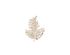 Max Mara Crystal Leaf Pin, back view