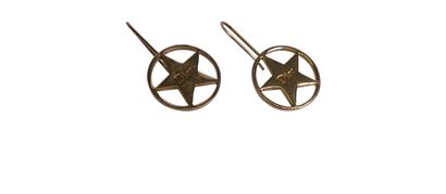 Dior Star Earrings, front view