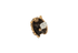 Gucci Lion Head Earrings, other view